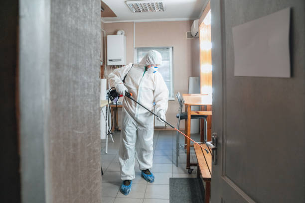 Best Comprehensive Air Testing for Mold Contaminants  in Everett, MA
