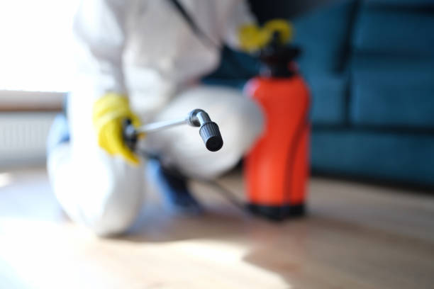  Everett, MA Mold Removal Pros